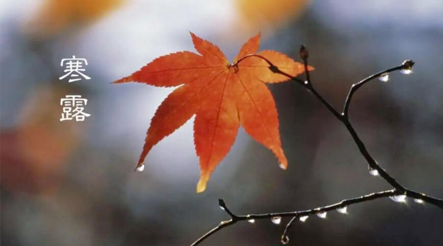 寒露時(shí)節！金環(huán)電器提醒大家要注意的事項