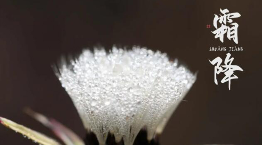 霜降時(shí)節！金環(huán)電器提醒大家要注意的事項