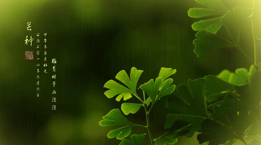 芒種時(shí)節！金環(huán)電器提醒大家的注意事項