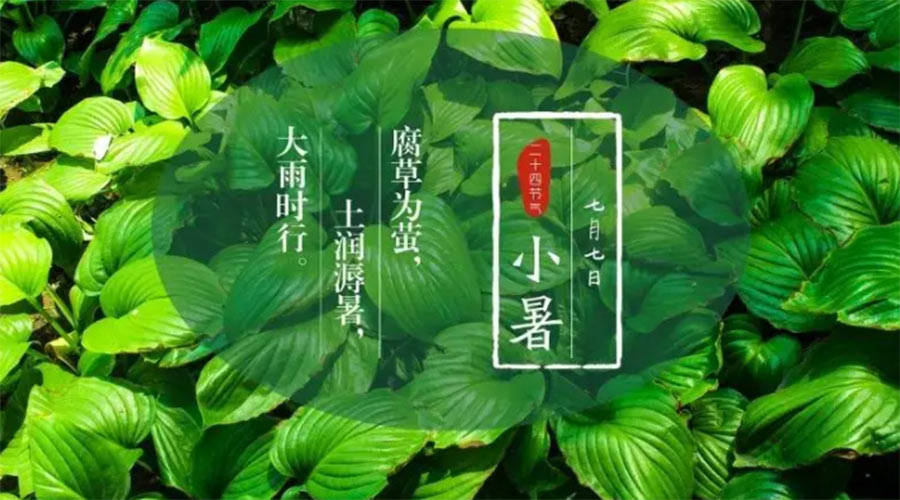 小暑時(shí)節來(lái)到！金環(huán)電器提醒大家要注意的事項