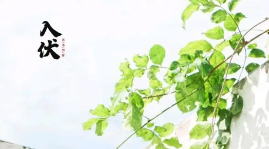 初伏時(shí)節！金環(huán)電器提醒大家要注意的事項