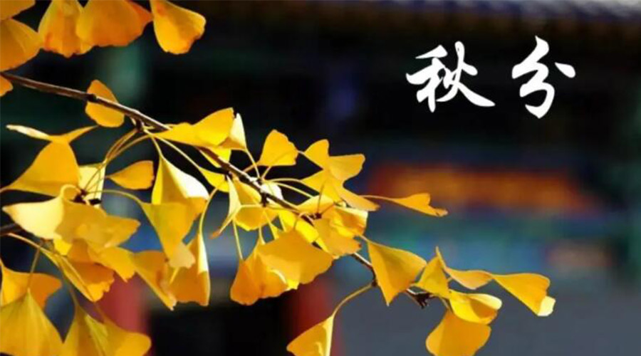 秋分時(shí)節！金環(huán)電器提醒大家要注意的事項