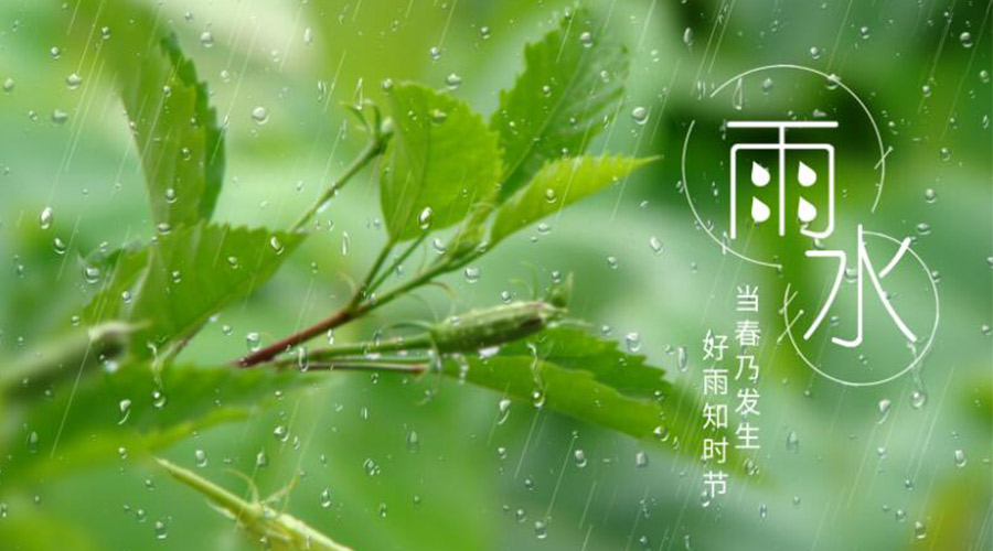 雨水時(shí)節！金環(huán)電器提醒大家要注意的事項